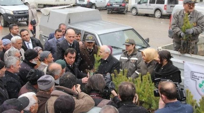Orman Haftasında Bin Fidan Dağıtıldı