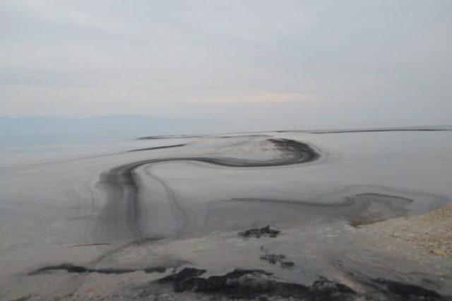 İznik Gölü’Nde Korkutan Kirlilik