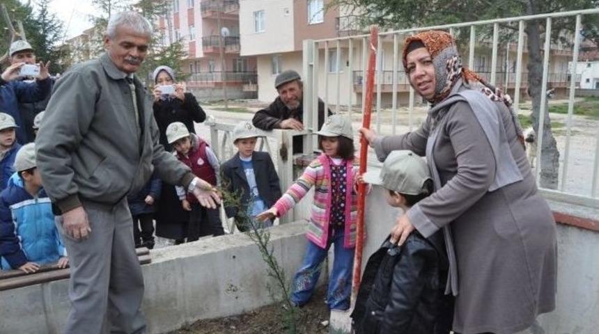 &Ouml;nce Dinlediler Sonra Fidan Diktiler