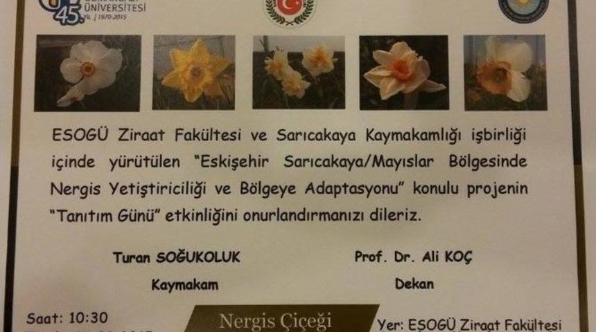 Nergis &Ccedil;i&ccedil;eğini Tanıtacaklar