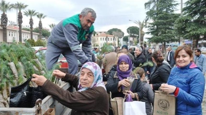 &Ouml;demiş&rsquo;te &Ccedil;am Fıstığı Ve Kestane Fidanı Dağıtıldı