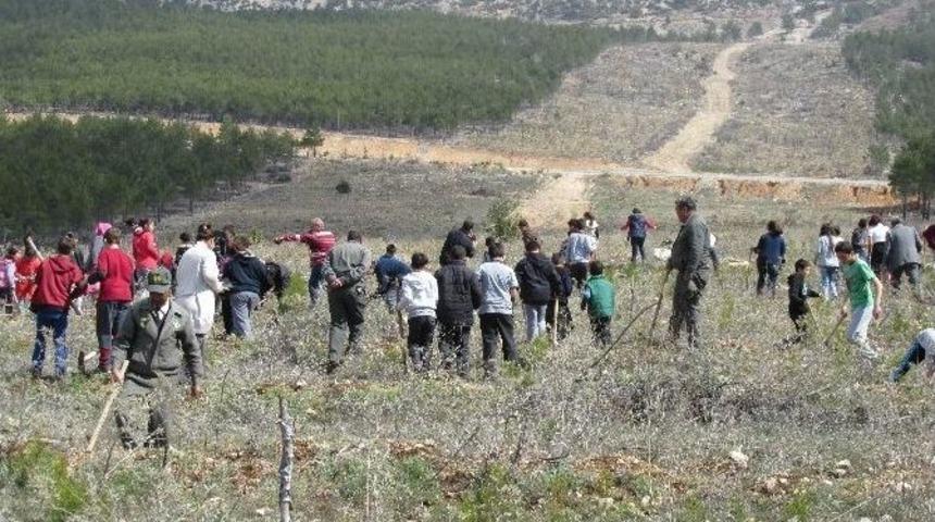 Mut&rsquo;ta &Ouml;ğrenciler 3 Bin 200 Fidanı Toprakla Buluşturdu