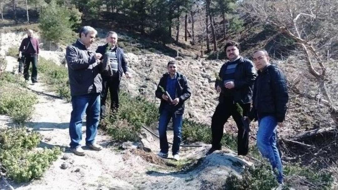 Orman Haftası Havran&rsquo;da Kutlandı