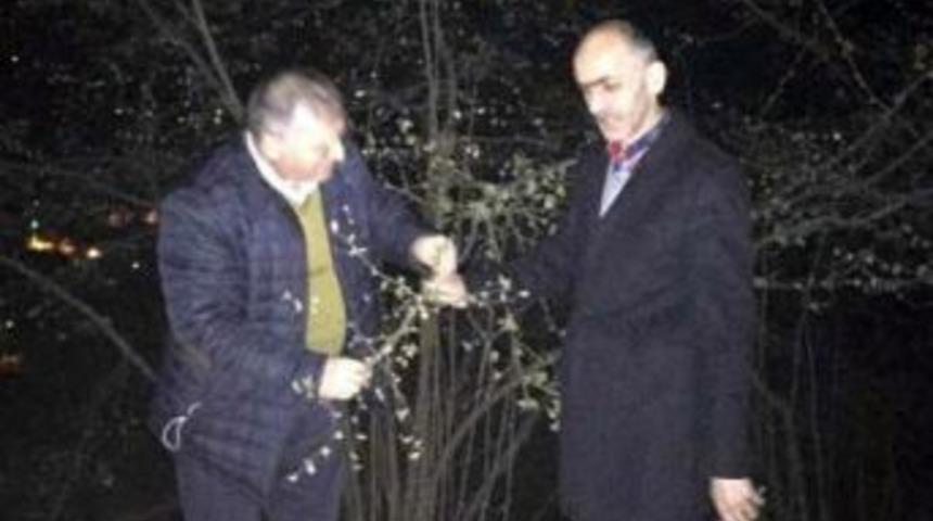 Kar Ve Soğuk Hava &Uuml;reticiyi Endişelendirdi