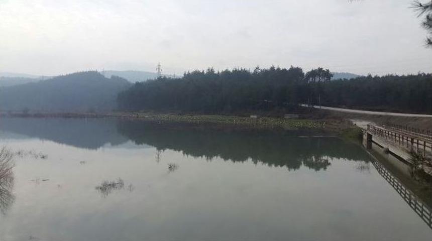 Uludağ&rsquo;da Y&uuml;zlerce Leylek G&ouml;renleri B&uuml;y&uuml;ledi