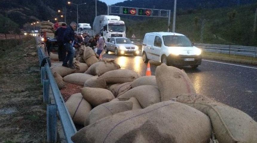 Kamyon Devrildi, Fındıklar Yola Sa&ccedil;ıldı