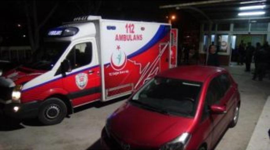 Domuz Gribi Ş&uuml;phesiyle İzmir'e Nakledildi