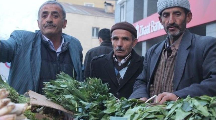 Pancar Tezgahlardaki Yerini Aldı