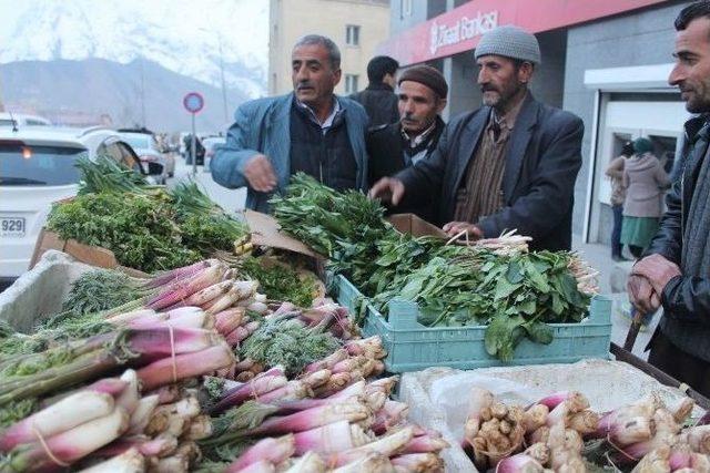 Pancar Tezgahlardaki Yerini Aldı