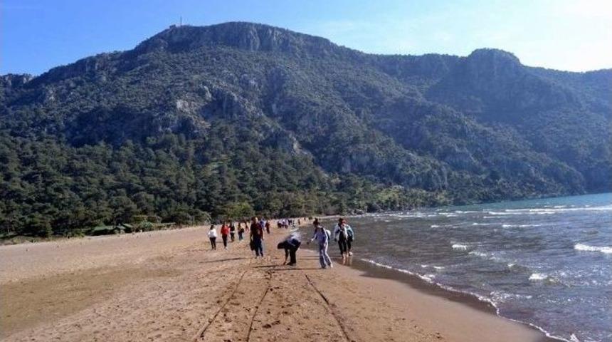 &Ccedil;ine K&uuml;lt&uuml;r Derneği İztuzu Plajı İ&ccedil;in Y&uuml;r&uuml;d&uuml;