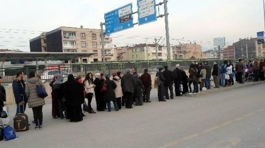 Bu Da Otob&uuml;s Kuyruğu