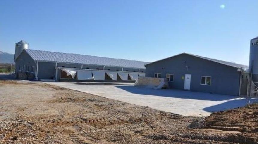 Kadın Girişimciden Izgaralık Pili&ccedil; Tesisi