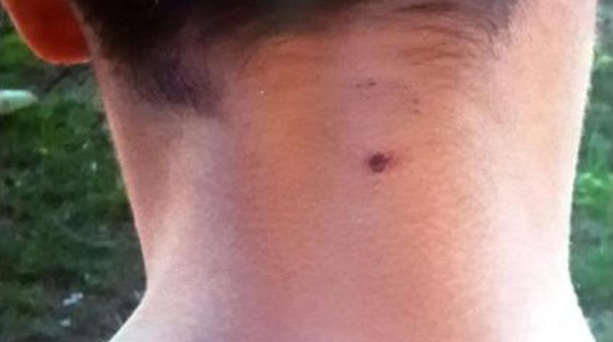 Muğla Cezaevi'nde Tacizci Gitti, Gardiyana Da Soruşturma A&ccedil;ıldı