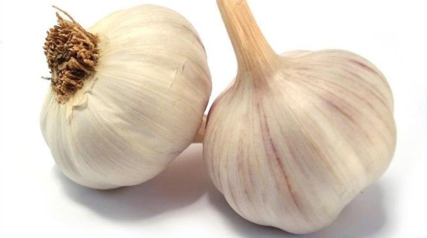 Bahar Gribine &Ccedil;iğ Sarımsak