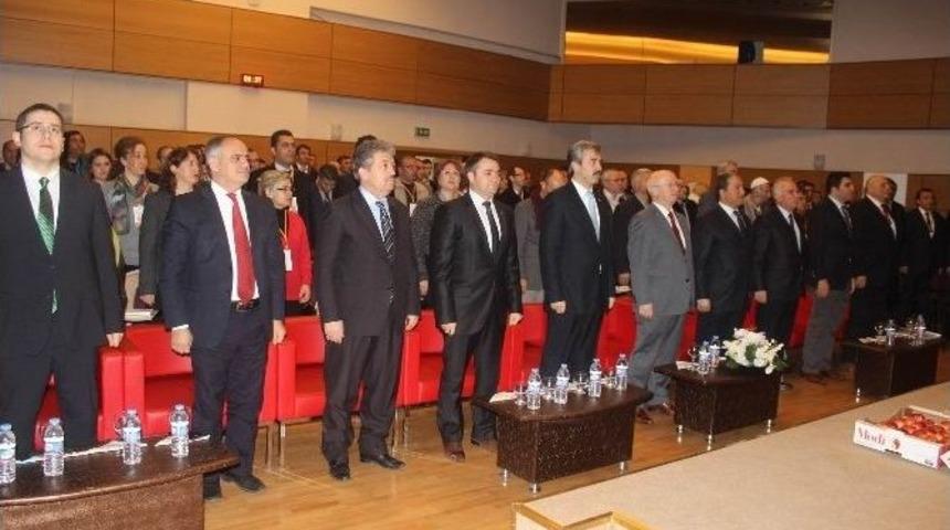 Elma &Ccedil;alıştayı Başladı