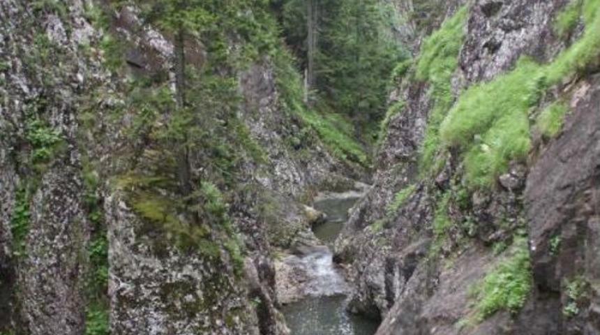 Ordu'nun Dereleri Turizme Akacak