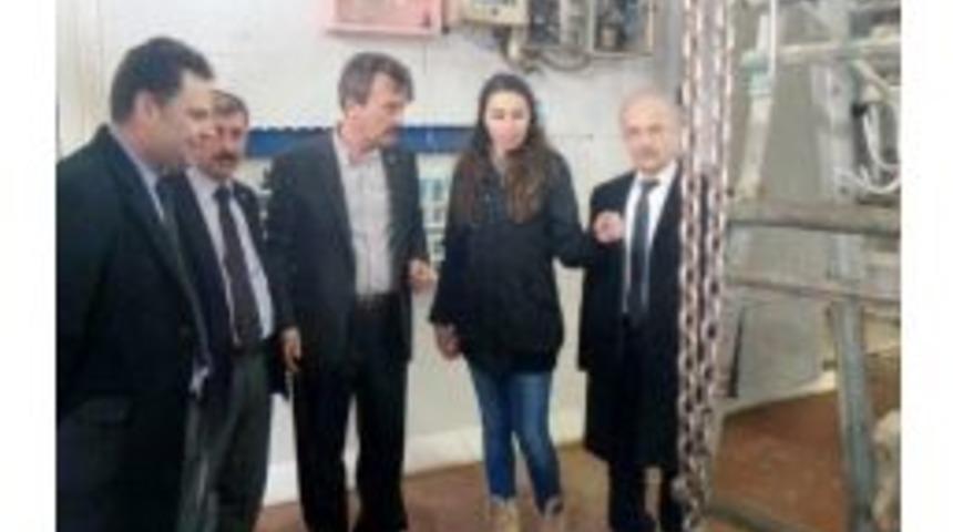 Yenişehir Mezbahası S&uuml;rekli Denetim Altında