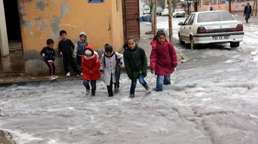 Sondaj &Ccedil;alışmasında &Ccedil;ıkan Sabun K&ouml;p&uuml;ğ&uuml; İlgin&ccedil; G&ouml;r&uuml;nt&uuml;ler Oluşturdu