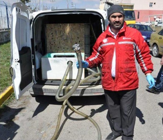 Sivas'ta Özel Düzenekle Mazot Çalan Hırsız Yakalandı