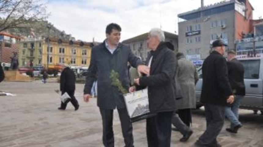 Bereket Ormanları Kuruluyor