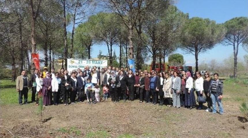 Serik&rsquo;te 500 Fıstık &Ccedil;amı Fidanı Toprakla Buluşturuldu