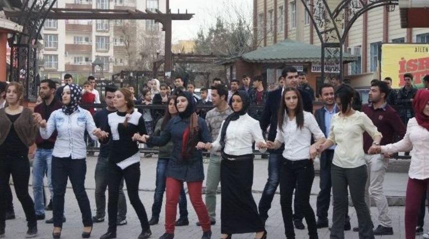 Cizre Myo&rsquo; Da 2. Geleneksel Dayanışma G&uuml;n&uuml;