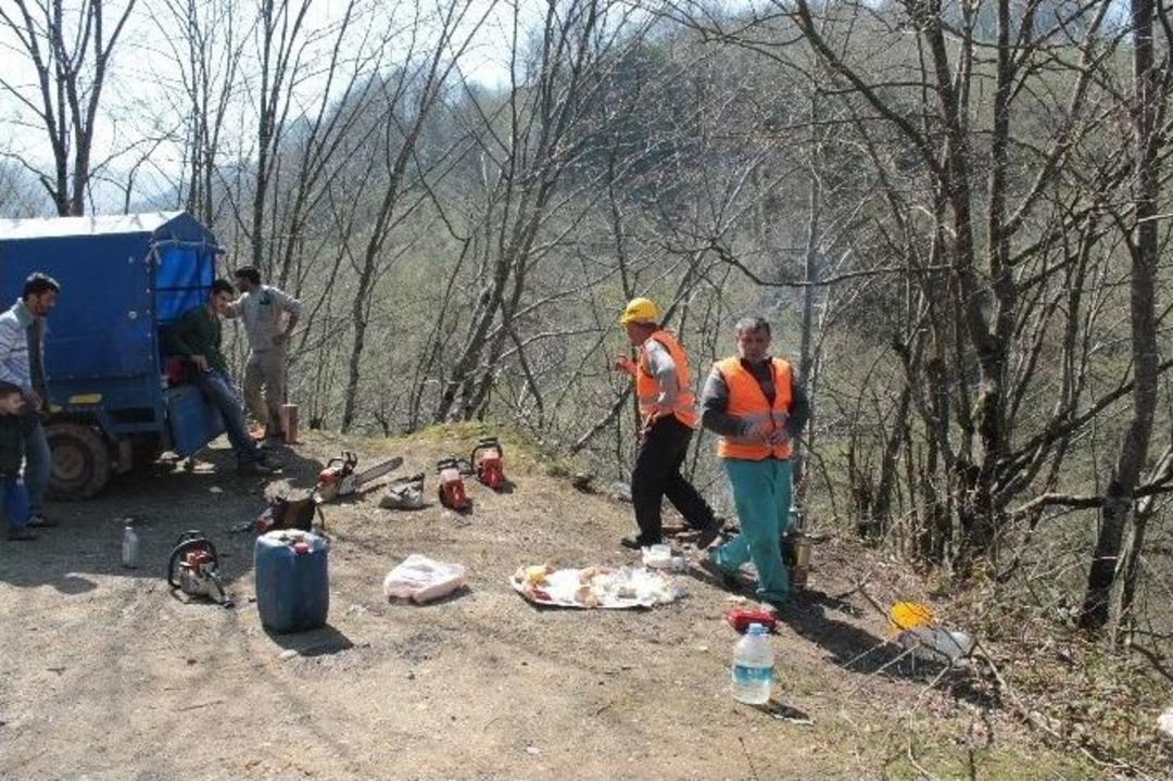 K&ouml;yl&uuml;ler Fındık Tarlaları İ&ccedil;in Eylem Yaptı