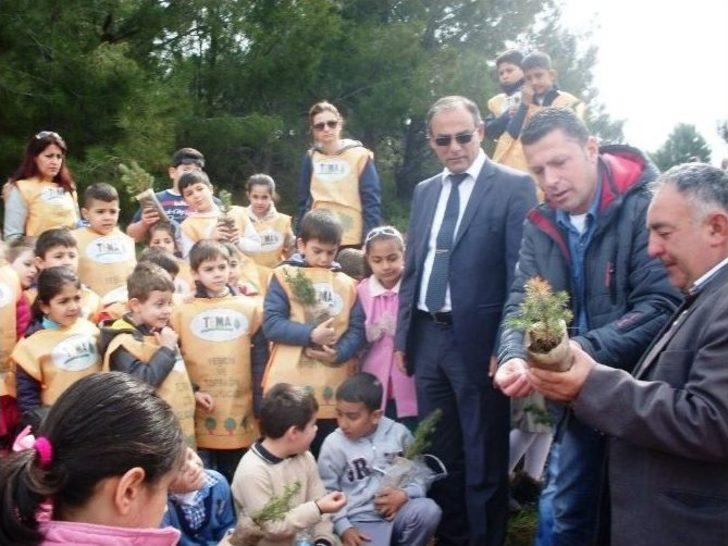 Ayvalık’ta Öğrenciler Ağaç Dikerek Orman Sevgisini Öğrendi G4