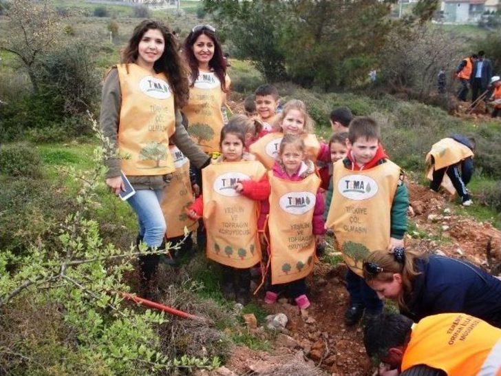 Ayvalık’ta Öğrenciler Ağaç Dikerek Orman Sevgisini Öğrendi G5
