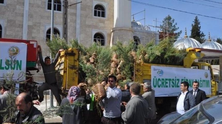 Korkuteli&rsquo;nde Vatandaşlara 2 Bin 500 Adet Fidan Dağıtıldı