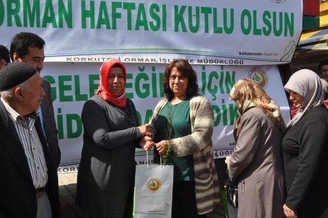 Korkuteli’nde Vatandaşlara 2 Bin 500 Adet Fidan Dağıtıldı