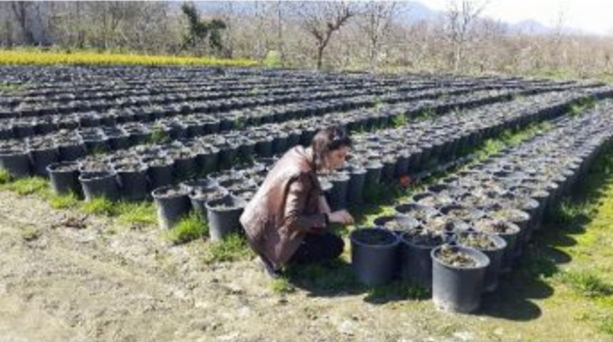 Kartepe&rsquo;de &Ccedil;evre Kontrollerine Devam Ediyor