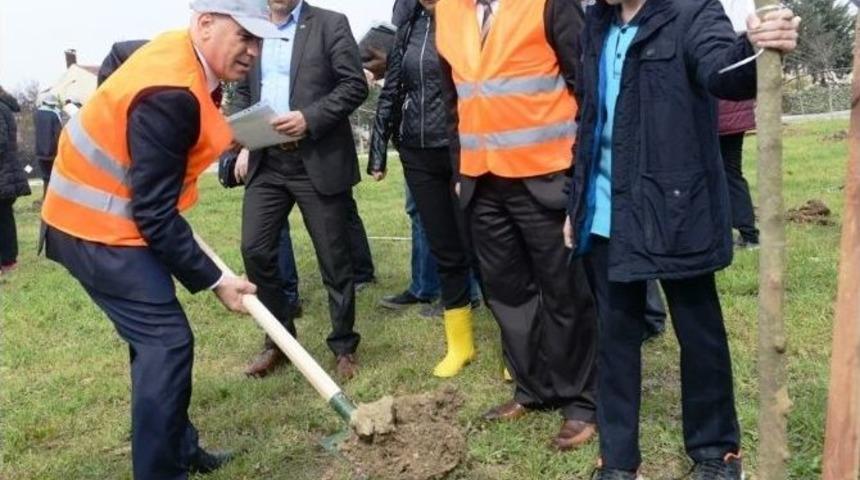20 Okulun &Ouml;ğrencileri Altınşehir&rsquo;de Fidan Dikti