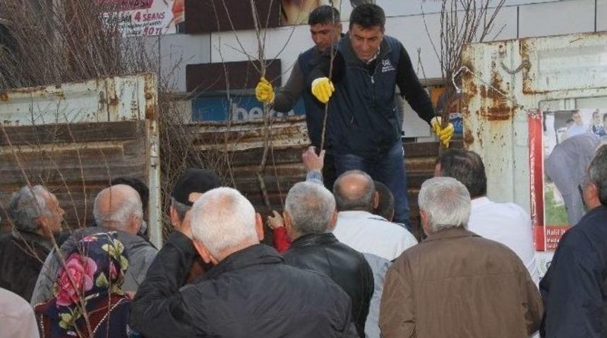Gaziemir Belediyesi 3 Bin Fidan Dağıttı