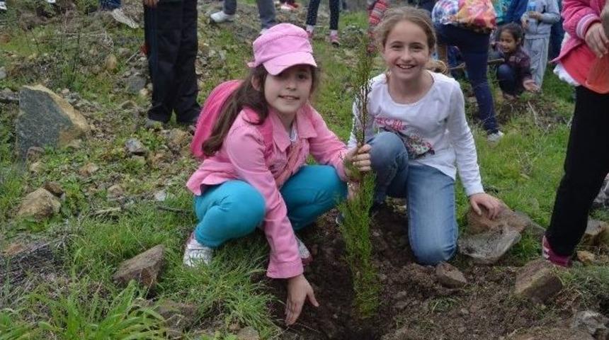 Ormancılık Haftası&rsquo;nda 3 İl&ccedil;ede 5000 Fidan Toprak İle Buluştu