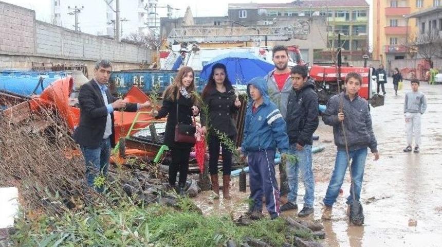 Tema, İdil&rsquo;deki Okulları Yeşillendiriyor
