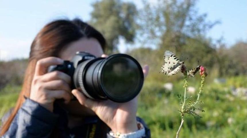 Mersin'in Kelebekleri Kayıt Altına Alınıyor