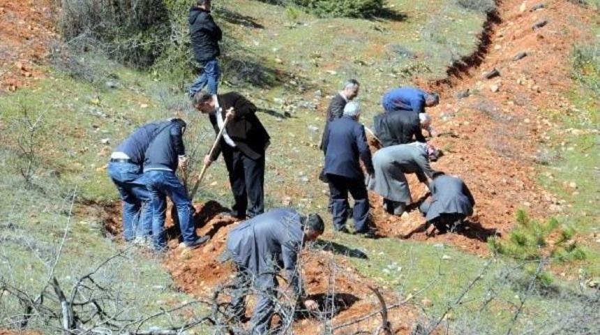 Tokat'ta 'bereket Ormanı' Oluşturuldu