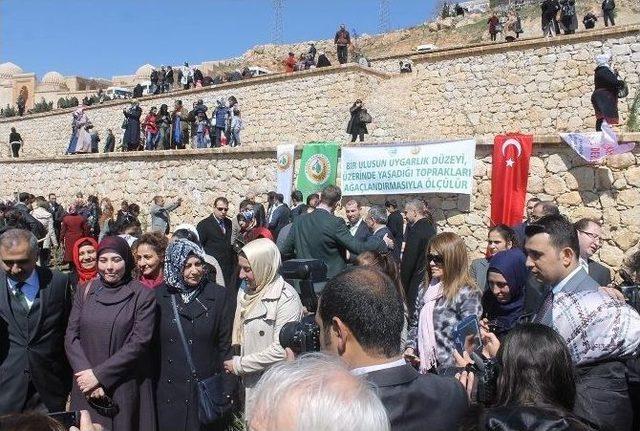 Mardin Gönül Elçileri Hatıra Ormanı Kuruldu