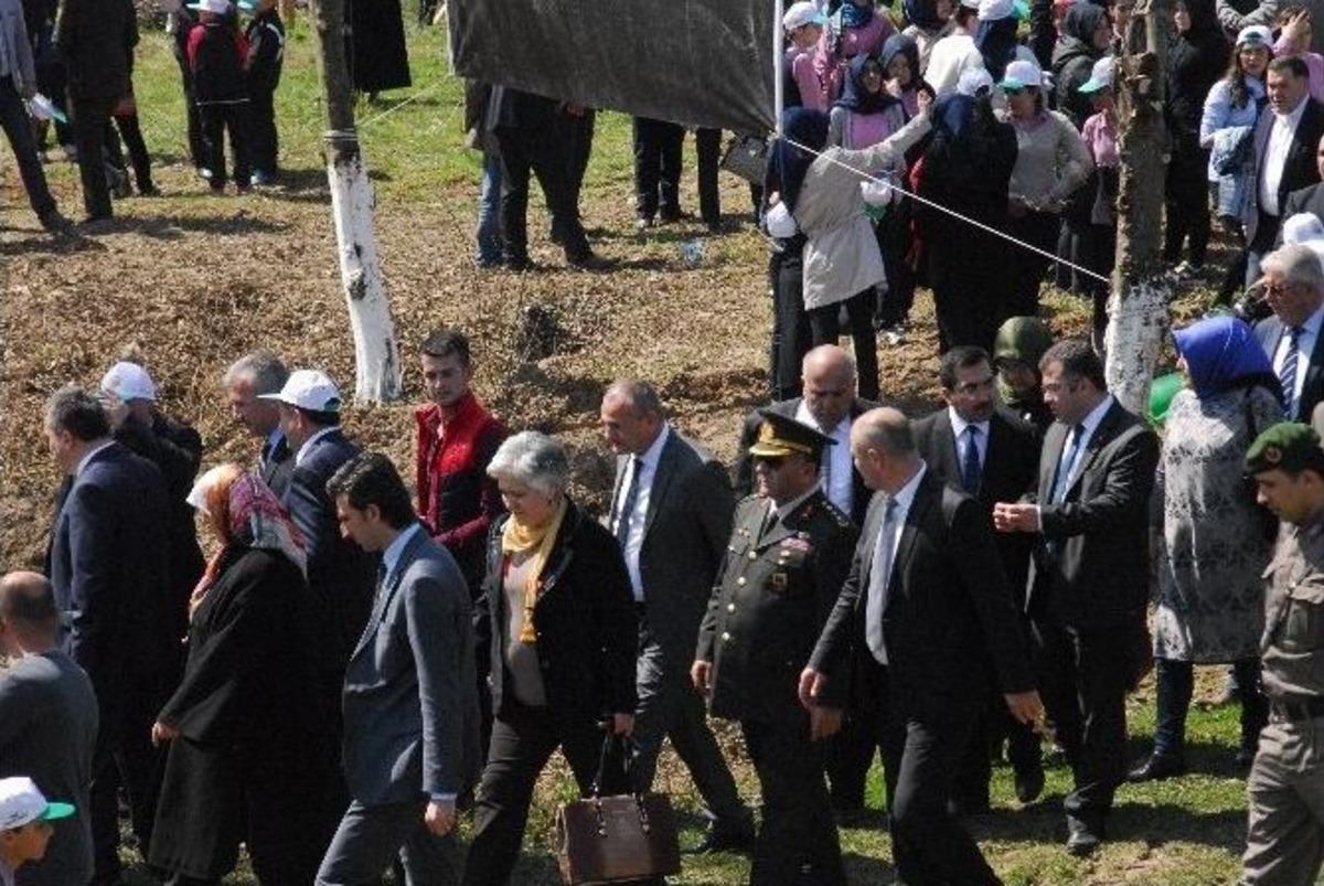 D&uuml;zce&rsquo;de Bereket Ormanına Fidan Dikildi