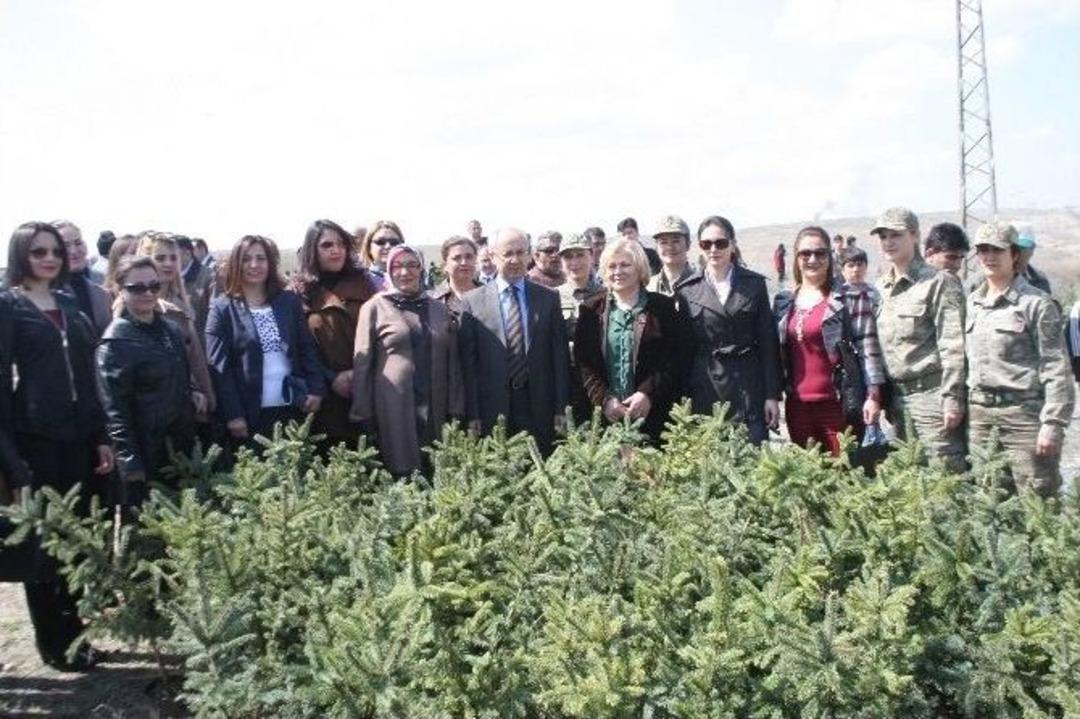 Iğdır&rsquo;da "bereket Ormanları" Projesi