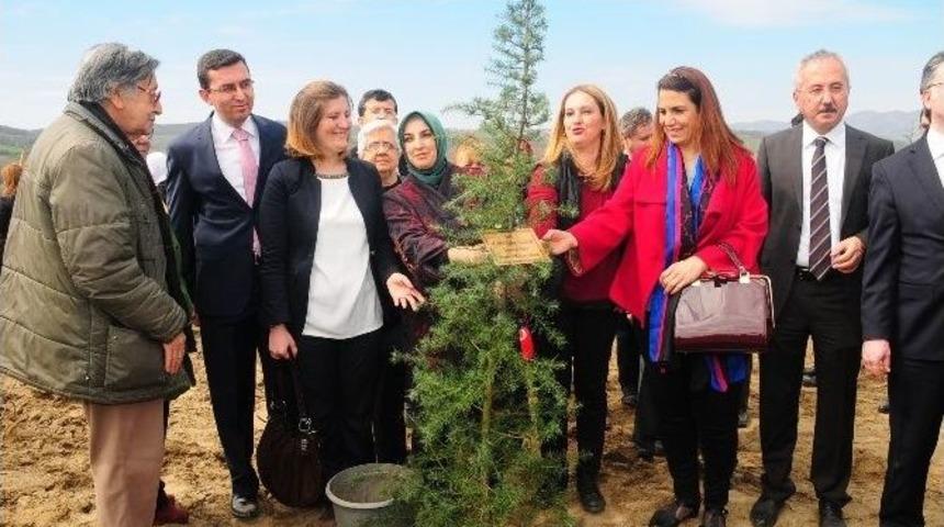 "g&ouml;n&uuml;l El&ccedil;ileri Bereket Ormanı Projesi"