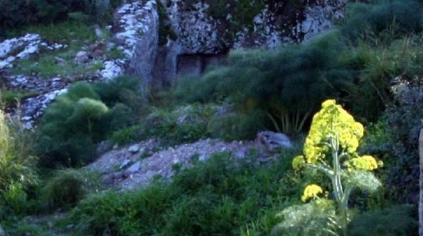 Bodrum'da Tarihi Kaya Mezarlarının &Uuml;zerine Villa Tepkisi