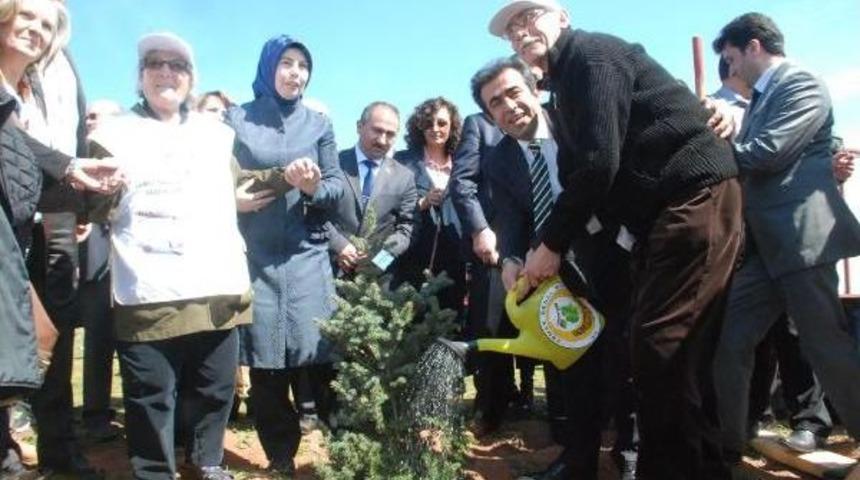 Gebze'de 12 Bin  Fidan Dikildi