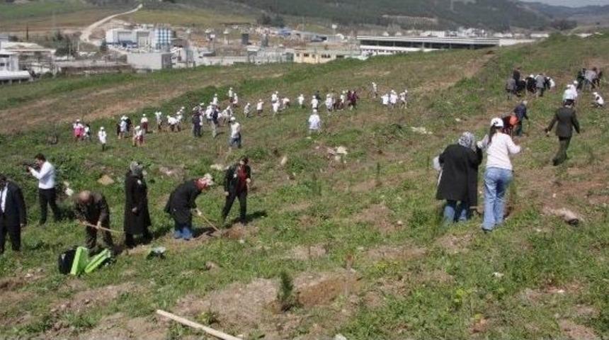 Bursa&rsquo;da Bereket Ormanları Kuruldu