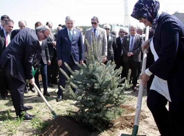 Bursa’da Bereket Ormanları Kuruldu