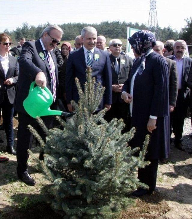 Bursa’da Bereket Ormanları Kuruldu