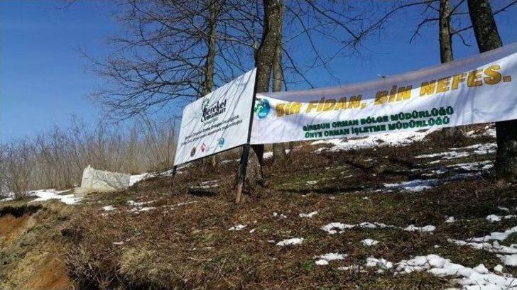 Çamaş’a "gönül Elçileri Bereket Ormanı" G2