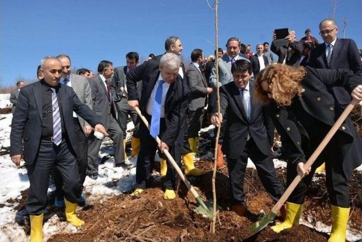 Çamaş’a "gönül Elçileri Bereket Ormanı" G4