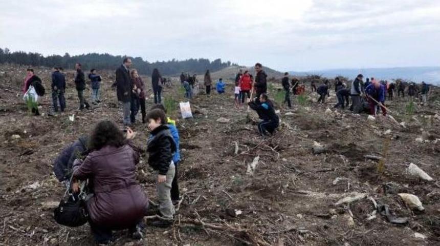 &Ccedil;anakkale'de 'bereket Ormanı' Oluşturuldu
